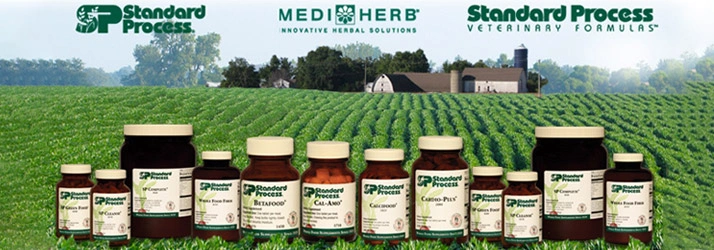Chiropractic Lancaster Order Standard Process Products Online PA Photo showing a large green plantation in the background and jars with various supplements from Mediherb and Standard Process.